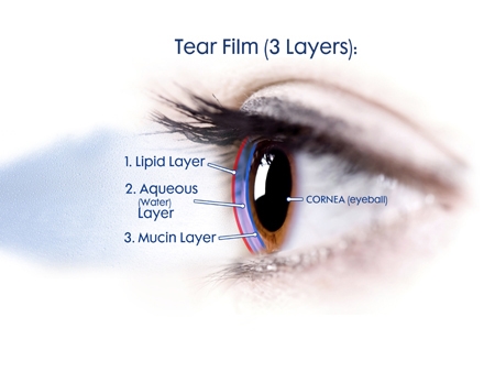 Layers of tears diagram