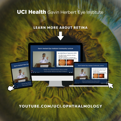 Screenshots from 2020 Community Lecture on Retina