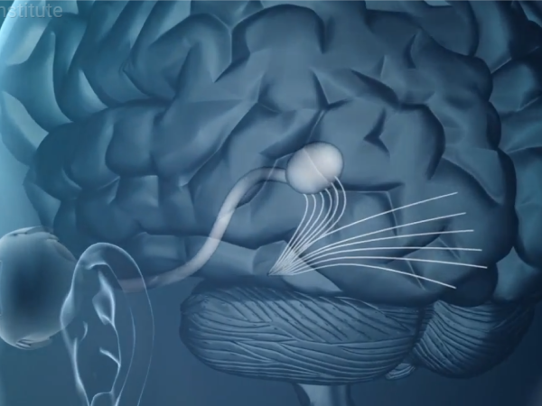 Neuro
