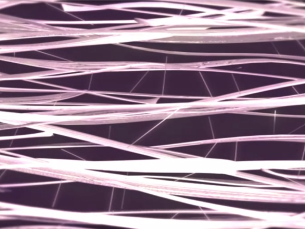 Cross Linking